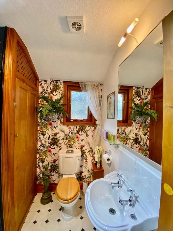 Bed and breakfast Elm Tree 4*
