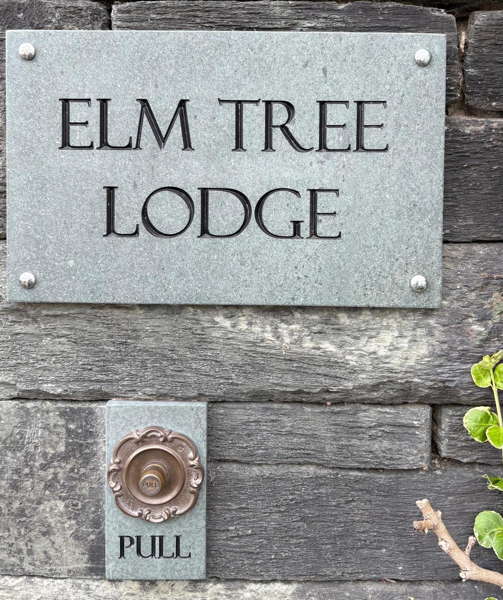 Elm Tree Keswick (Cumbria)