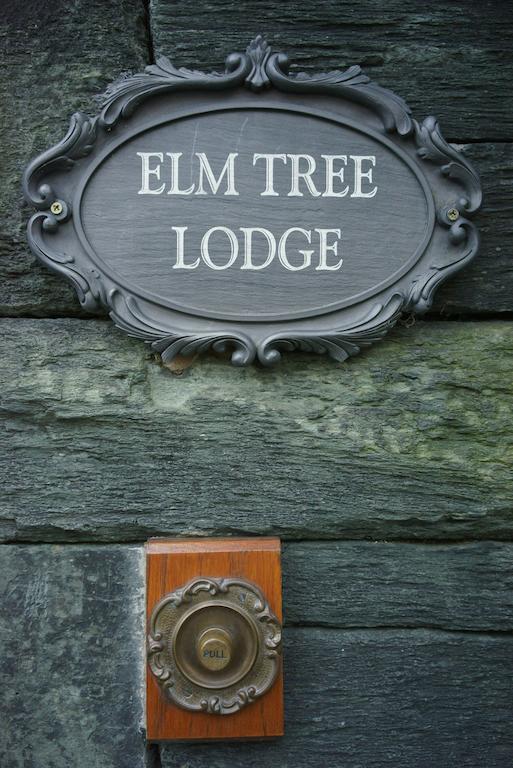 Elm Tree