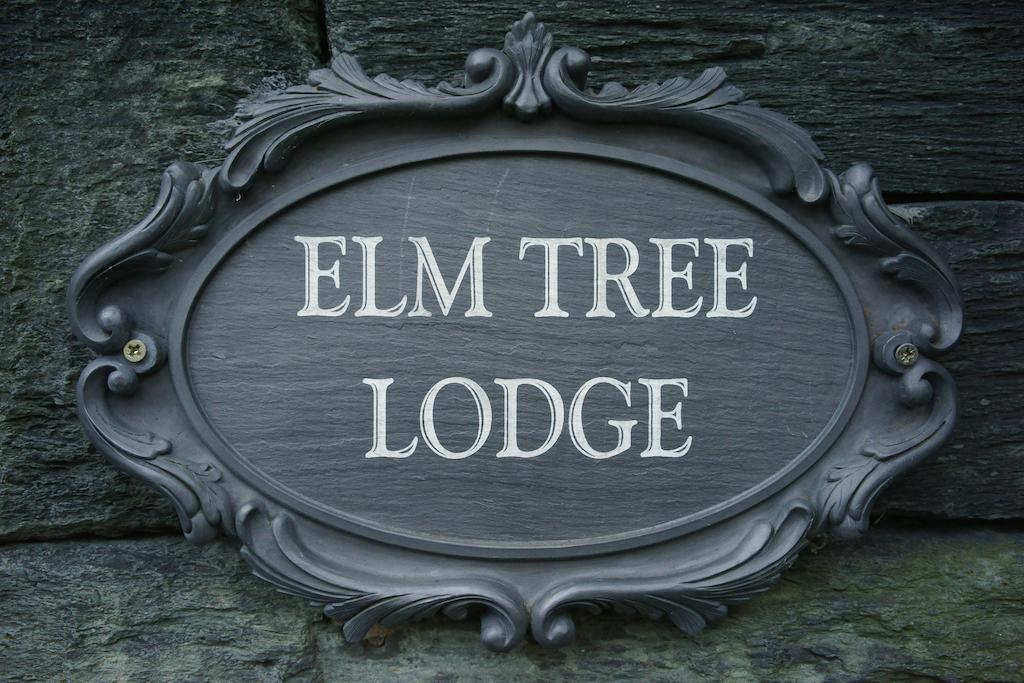 Elm Tree 4*